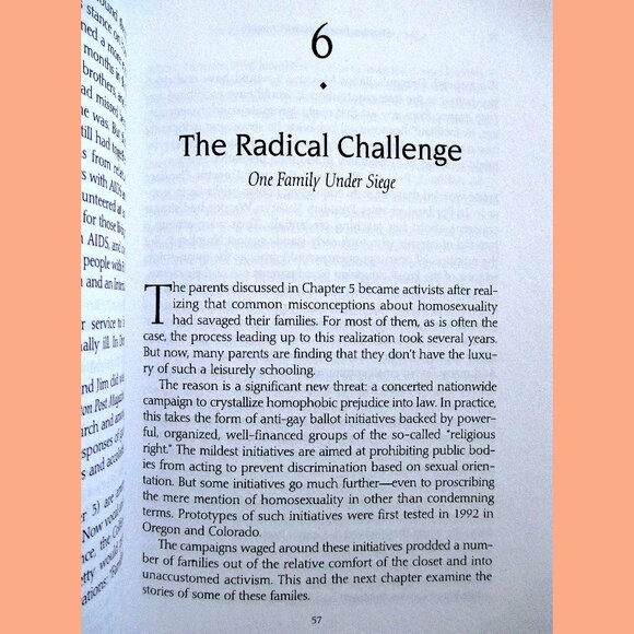 Book - Straight Parents, Gay Children: Inspiring Families to Live Honestly.... - Picture 10 of 14